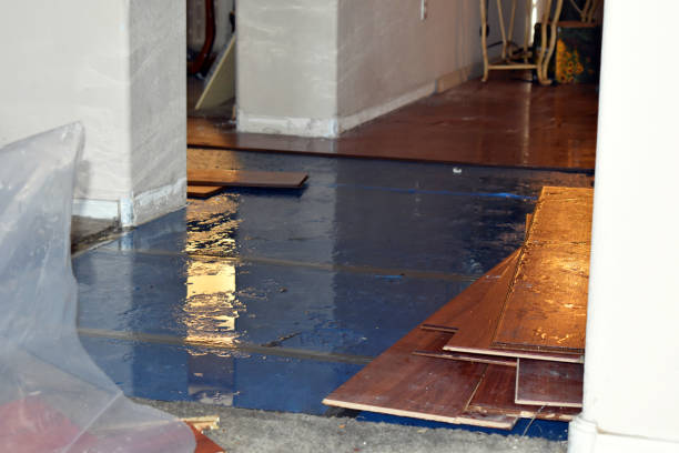 Professional Burst Pipe Cleanup technician working in Lopez Island, WA